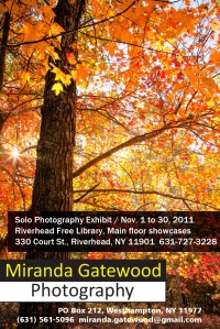 Riverhead Library Nov 2011 Show Card