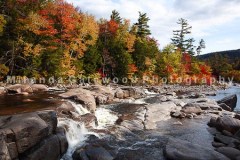 © Miranda Gatewood-6126