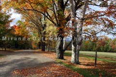 © Miranda Gatewood-6302