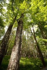 © Miranda Gatewood-7986