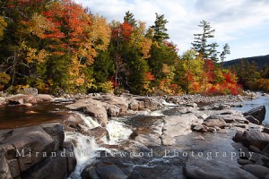 © Miranda Gatewood-2