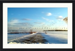 Windshield, Hulse Landing Road Framed Proof