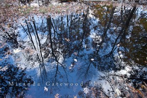 © Miranda Gatewood-9025