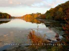 © Miranda Gatewood-1-2