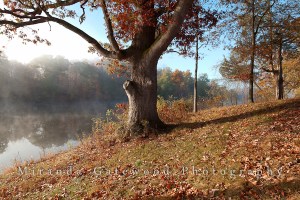 © Miranda Gatewood-1-3