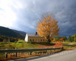 © Miranda Gatewood-1095