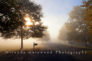 © Miranda Gatewood--5