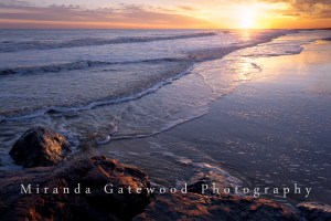 © Miranda Gatewood-2