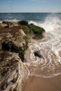 © Miranda Gatewood-6143