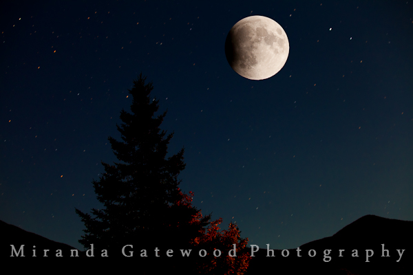 © Miranda Gatewood-1109