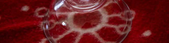 Life in the Time of&nbsp;Covid-19